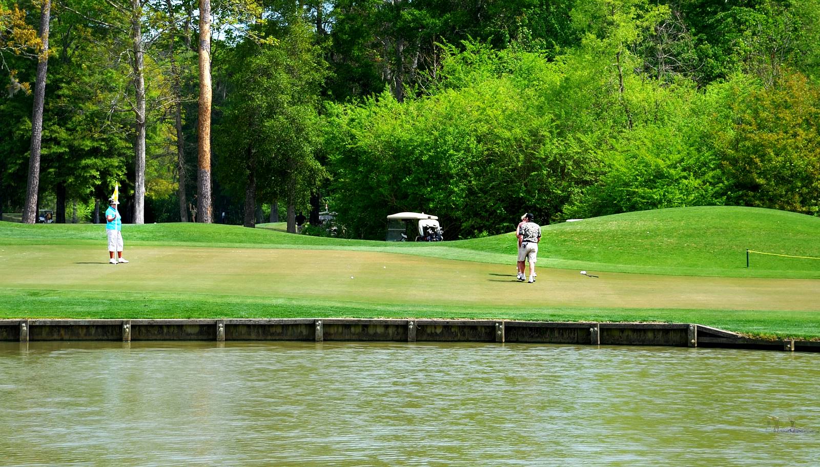 Black Bear Golf Course in Longs, SC | Golf Only Rates